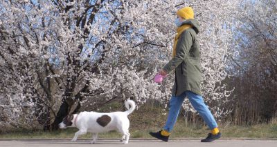 Government updates guidance on dog walking in lockdown